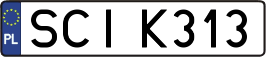 SCIK313
