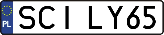 SCILY65