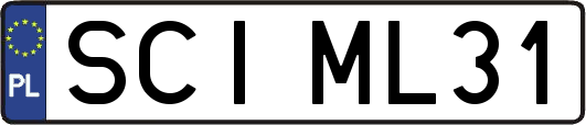 SCIML31