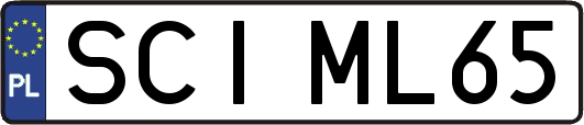SCIML65