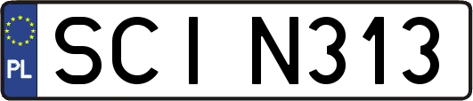 SCIN313