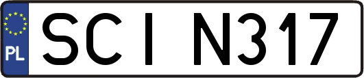 SCIN317