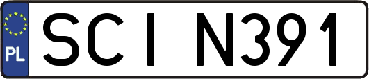 SCIN391