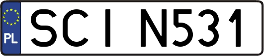 SCIN531