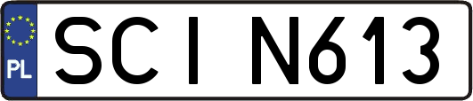 SCIN613