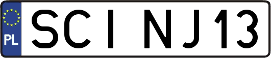 SCINJ13