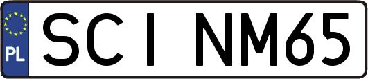 SCINM65