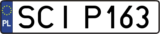 SCIP163