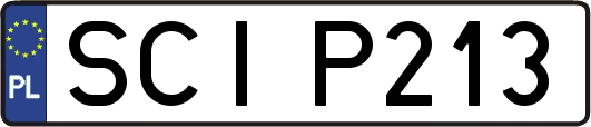 SCIP213
