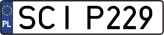 SCIP229