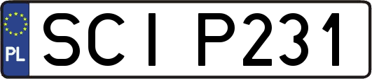 SCIP231