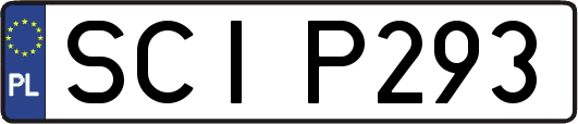 SCIP293