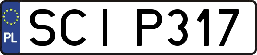 SCIP317