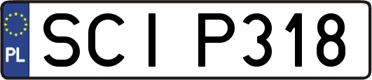 SCIP318