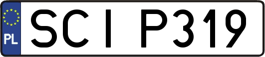 SCIP319