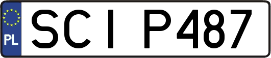 SCIP487