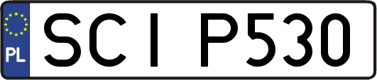 SCIP530