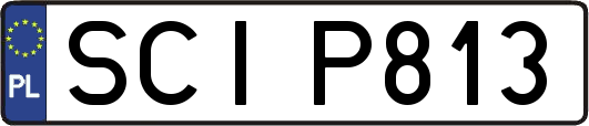 SCIP813