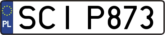 SCIP873