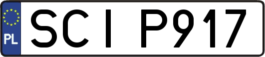 SCIP917