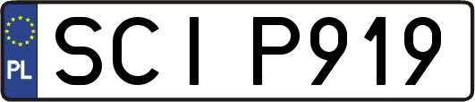SCIP919