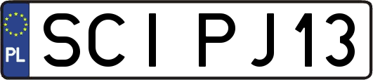 SCIPJ13