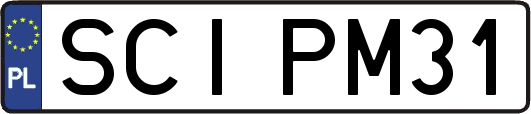SCIPM31