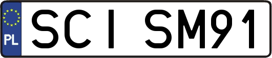 SCISM91