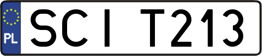 SCIT213