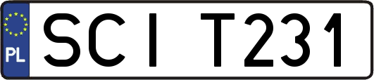 SCIT231