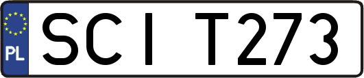 SCIT273