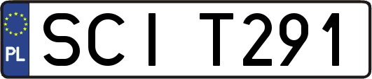 SCIT291