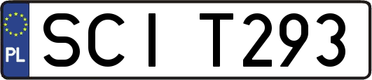 SCIT293