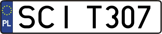 SCIT307