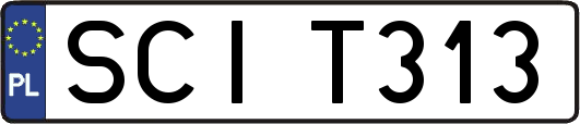 SCIT313