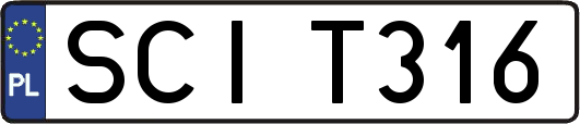 SCIT316