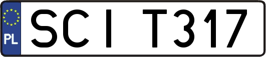 SCIT317