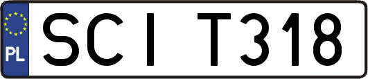 SCIT318