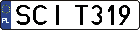 SCIT319