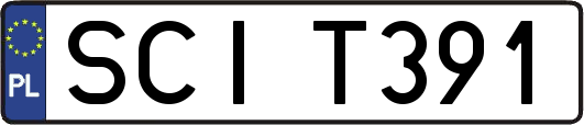 SCIT391