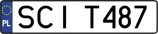 SCIT487