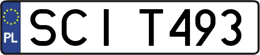 SCIT493