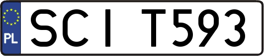 SCIT593