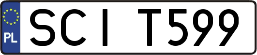 SCIT599