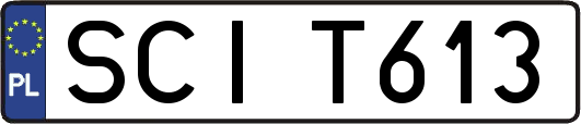 SCIT613
