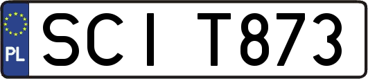SCIT873
