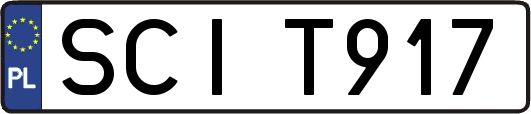 SCIT917