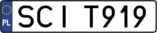 SCIT919