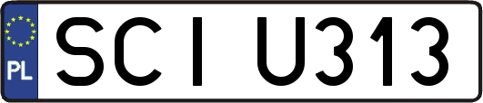SCIU313