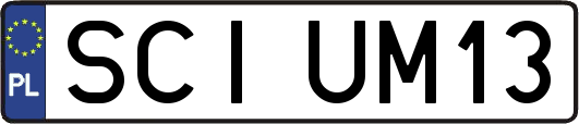 SCIUM13
